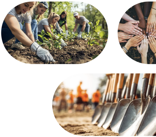 Vitaliteit Vitaliteit